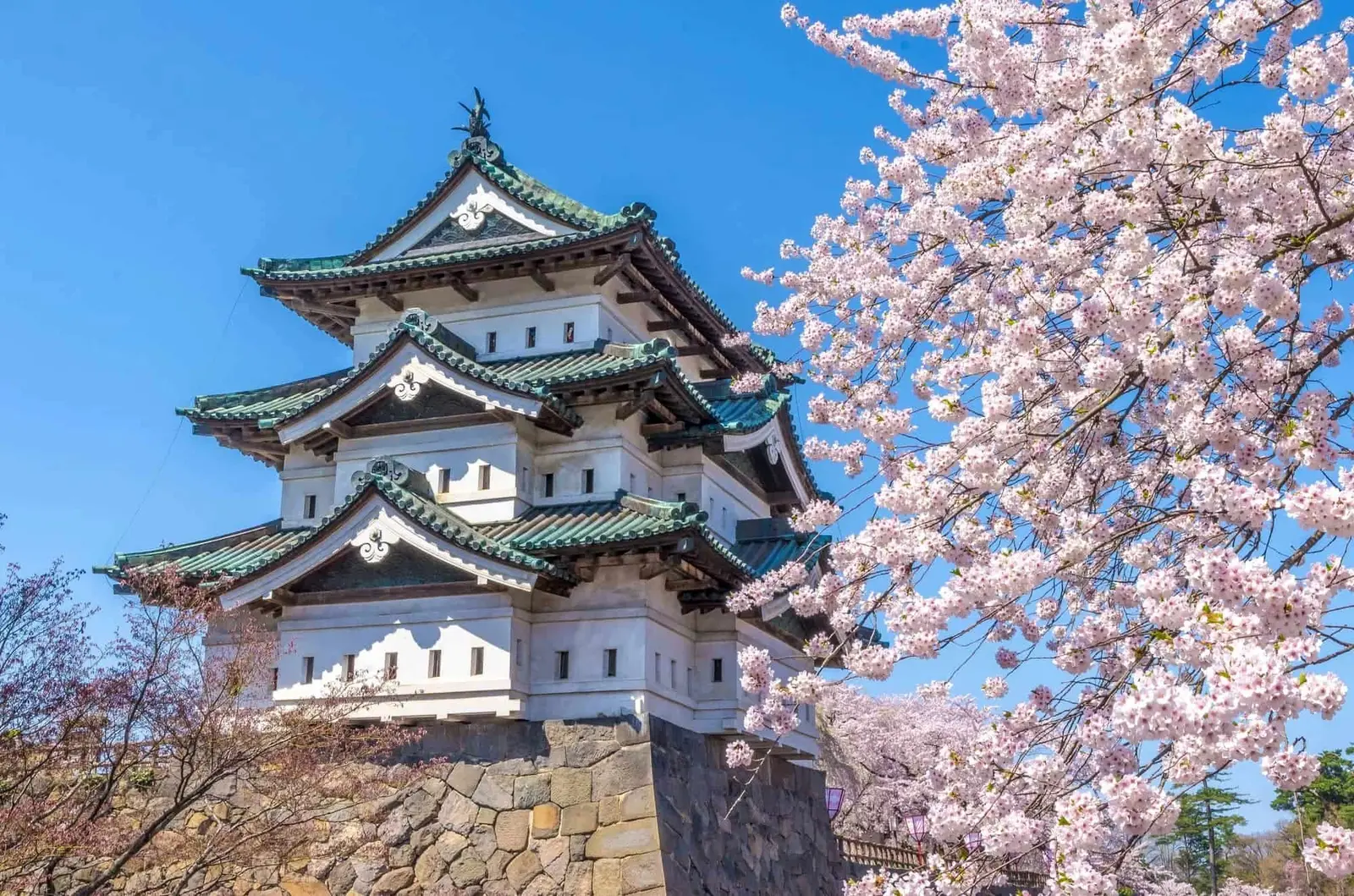 Aomori Shore Excursion — Discover Northern Japan’s Charm — attraction 2