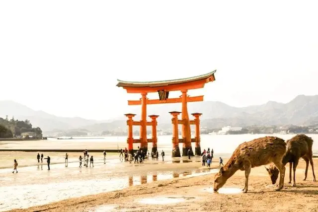 Hiroshima Shore Excursion — Peace, Islands & Gardens — attraction 2