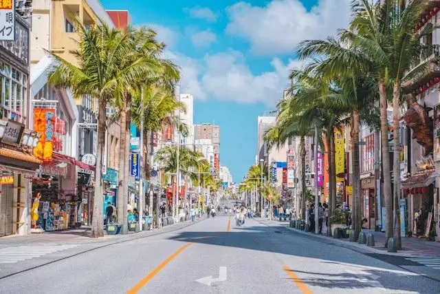 Palm-lined Kokusai Dori shopping street in Naha, Okinawa