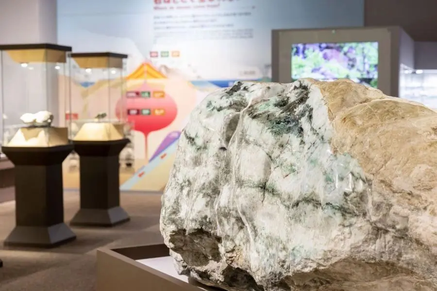 Goto Shrine, Takada Castle, Gem Museum, Fish Market & Coast — attraction 2