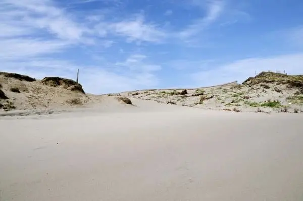 From ocean cliffs to tea-covered hills, explore Omaezaki — attraction 2