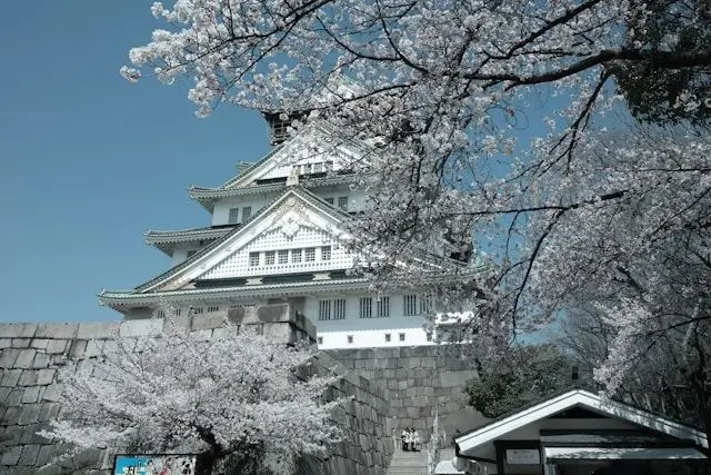 Osaka Castle framed by cherry blossoms