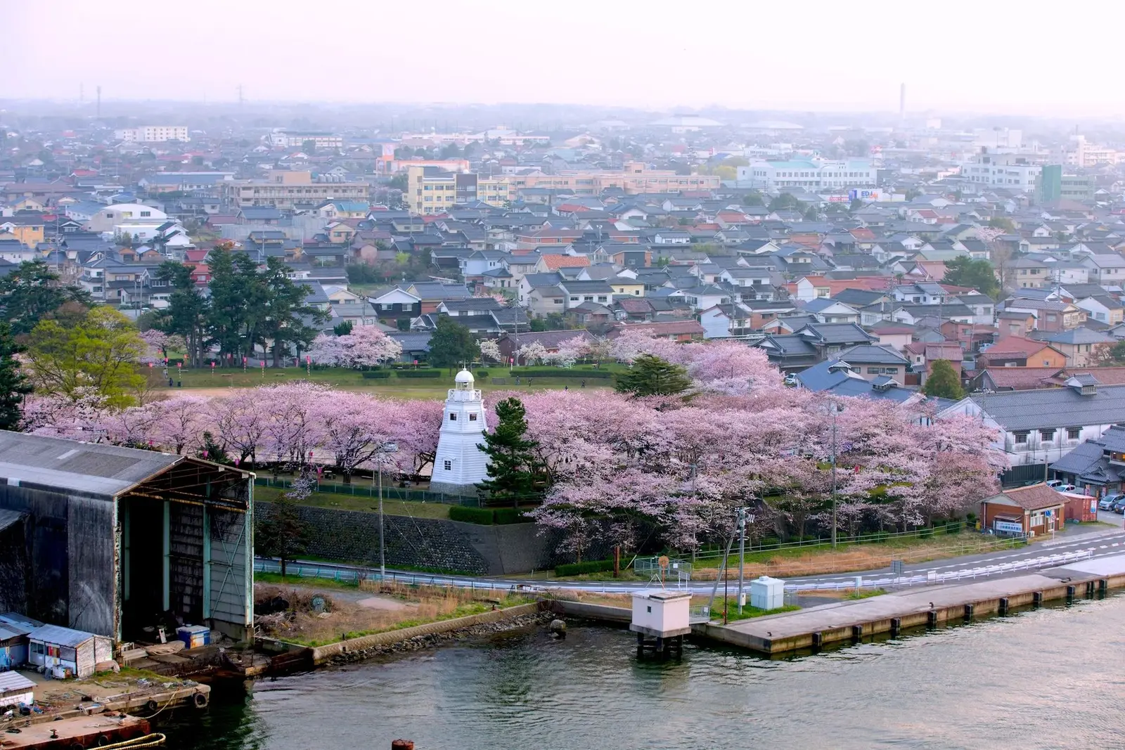 Sakaiminato in a Day: Samurai, Art & Seafood — attraction 2
