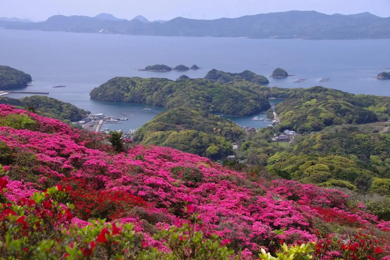 From Coastal Parks to Hilltop Observatories — Explore Sasebo — attraction 2