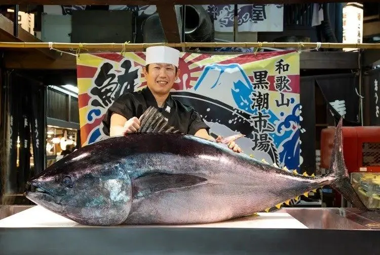 History, Flavor & Coastline — The Spirit of Wakayama — attraction 2