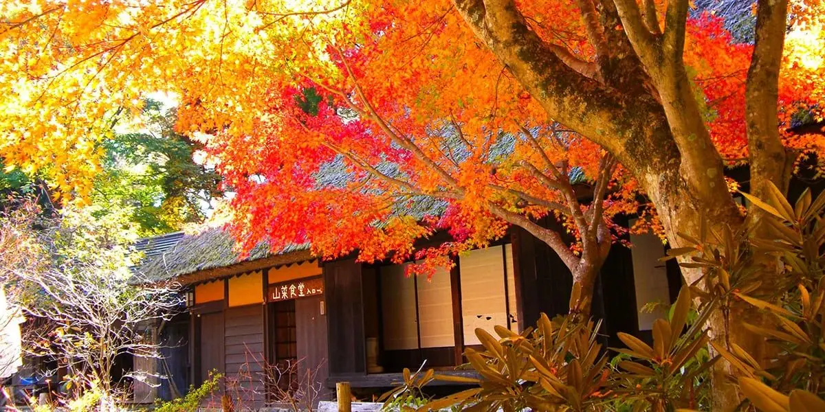 Mountain Villages, Sacred Dance & Scenic Rails — attraction 2