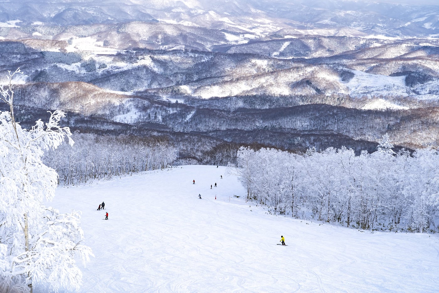 Rusutsu Resort winter scenery